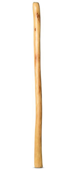 Natural Finish Didgeridoo (TW753)